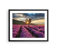 ARTTOR Poster Cadre Noir 50x40 cm Affiche Botanique Paysages - 3645 - P2B