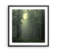 ARTTOR Poster Cadre Noir 50x50 cm Affiche Forêt Nature - 3543 - P2B