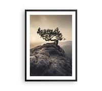 ARTTOR Poster Cadre Noir 50x70 cm Affiche Paysages Nature - 4334 - P2B | Vieux Pin Montagnes Poster Mural Moderne Décoratif Art Mural Impression d'Art Salon Chambre Cuisine Tableau Décoration ARTTOR