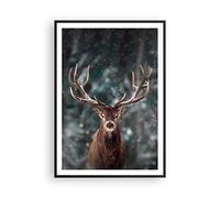 ARTTOR Poster Cadre Noir 70x100 cm Affiche Animaux- 4998 - P2B