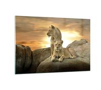 ARTTOR Tableau Décoratif en Verre 120x80cm Animaux - 2958 | Lions Ouest Soleils Impression sur Verre Grand Décoration Murale Art Mural Verre Trempé Salon Chambre Design Moderne ARTTOR