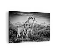 ARTTOR Tableau Décoratif sur Toile 120x80 cm Afrique Noir et Blanc - 4441 | Girafes Noir ET Impression sur Toile Grand Décoration Murale Art Mural Toile Imprimée Salon Chambre Cuisine ARTTOR