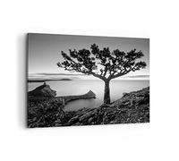 ARTTOR Tableau Décoratif sur Toile 120x80 cm Botanique Noir et Blanc - 4297 | Arbre ET Noir Impression sur Toile Grand Décoration Murale Art Mural Toile Imprimée Salon Chambre Cuisine ARTTOR