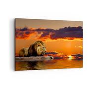 ARTTOR Tableau Décoratif sur Toile 120x80 cm Nature Animaux - 0230 | Lion Soleil Paysage Impression sur Toile Grand Décoration Murale Art Mural Toile Imprimée Salon Chambre Cuisine ARTTOR