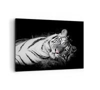 ARTTOR Tableau Décoratif sur Toile 120x80 cm Noir et Blanc Animaux - 4247 | Tigre ET Blanc Impression sur Toile Grand Décoration Murale Art Mural Toile Imprimée Salon Chambre Cuisine ARTTOR