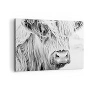 ARTTOR Tableau Décoratif sur Toile 120x80 cm Noir et Blanc Nature - 5129 | Vache scotch Animal Impression sur Toile Grand Décoration Murale Art Mural Toile Imprimée Salon Chambre Cuisine ARTTOR