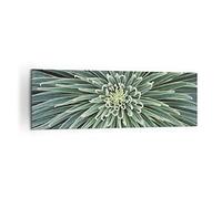 ARTTOR Tableau Décoratif sur Toile 160x50 cm Botanique Fleurs - 4905 | Agave Vert Usine Impression sur Toile Grand Décoration Murale Art Mural Toile Imprimée Salon Chambre Cuisine ARTTOR