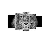 ARTTOR Tableau Décoratif sur Toile 160x85 cm Afrique Noir et Blanc - 4494 | Portrait Lion ET Impression sur Toile Grand Décoration Murale Art Mural Toile Imprimée Salon Chambre Cuisine ARTTOR