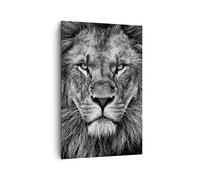 ARTTOR Tableau Décoratif sur Toile 80x120 cm Afrique Noir et Blanc - 4494 | Portrait Lion ET Impression sur Toile Grand Décoration Murale Art Mural Toile Imprimée Chambre Cuisine Salon ARTTOR