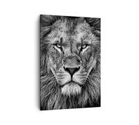 ARTTOR Tableau sur Toile Décoratif 50x70 cm Afrique Noir et Blanc - 4494 | Portrait Lion ET Impression sur Toile Décoration Murale Art Mural Toile Imprimée Chambre Cuisine Salon ARTTOR
