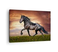 ARTTOR Tableau sur Toile Décoratif 70x50 cm Nature Animaux - 2608 | Cheval Animal Prairie Impression sur Toile Décoration Murale Art Mural Toile Imprimée Salon Chambre Cuisine ARTTOR