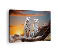 ARTTOR Tableau sur Toile Décoratif 70x50 cm Nature Animaux - 2901 | Tigres Blanc Échelle Impression sur Toile Décoration Murale Art Mural Toile Imprimée Salon Chambre Cuisine ARTTOR