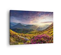 ARTTOR Tableau sur Toile Décoratif 70x50 cm Paysages Nature - 3152