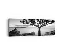 ARTTOR Tableau sur Toile Décoratif 90x30 cm Botanique Noir et Blanc - 4297 | Arbre ET Noir Impression sur Toile Décoration Murale Art Mural Toile Imprimée Salon Chambre Cuisine ARTTOR