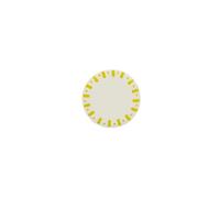 Artyfêtes Générique - 6 ASSIETTES CARTON RAYÉ DOLCE VITA 18CM JAUNE