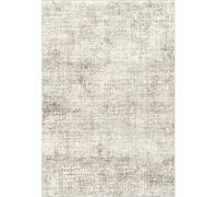 Arvella Rug Tapis Doux à Poils Ras Lavable pour Salon, Chambre et Salle à Manger, avec Dessous Antidérapant, idéal pour Cuisine et Terrasse Abstract Vintage Beige 80x120cm