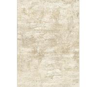 Arvella Rug Tapis Lavable Salon Chambre Salle à Manger, Antidérapant Doux à Poils Ras pour Cuisine, Terrasse et Espace Intérieur Abstract Beige 80x160cm