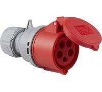 AS Schwabe 60427 60427 Femelle CEE 32 A 5 pôles 400 V 1 pc(s)