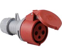 AS Schwabe 60576 60576 Femelle CEE 32 A 4 pôles 400 V 1 pc(s)