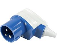 AS Schwabe 61481 Mâle coudé CEE 16 A 230 V 1 pc(s)