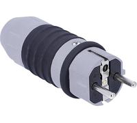 AS Schwabe 62301 Fiche électrique mâle avec terre 230 V gris, noir IP54