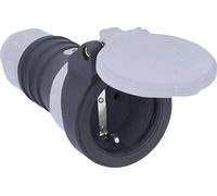 AS Schwabe 62311 Fiche électrique femelle avec terre 230 V noir, gris IP54