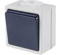 AS Schwabe 62450 Interrupteur en saillie IP54 gris