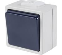 AS Schwabe 62450 Interrupteur en saillie IP54 gris
