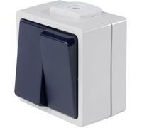 AS Schwabe 62451 Interrupteur en saillie IP54