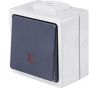 as - Schwabe 62453 BoutonPoussoir avec éclairage IP54 Gris