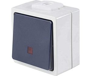as - Schwabe 62453 BoutonPoussoir avec éclairage IP54 Gris
