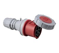 as - Schwabe 60428 60428 CEE Kupplung 63 A 5polig 400 V (60428)