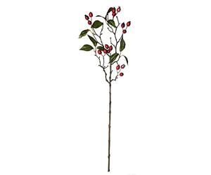 ASA Selection Branche d'églantier décorative rouge L 66 cm