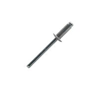 ASD4820 Rivets borgnes tête plate 4,8x20 mm boîte 250