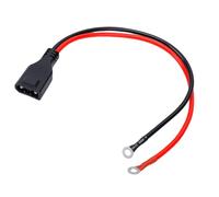 ASHATA EcoFlow Batterie Câble D'Extension 50A 8AWG Remplacement | Conçu pour 2, 2 , 3, 3 Plus, WAVE 3, haute capacité, performances fiables