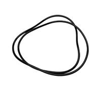ASHATA Joint Torique en Silicone pour Remplacement de Filtre à Sable Série S200 SX200Z7, pour des Performances de Filtration Optimales de Piscine