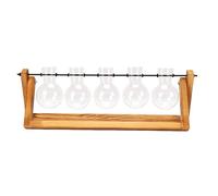 ASHATA Mini Station de Bouturage avec Cadre en Bois (Vintage Five Bottles) | Style rétro, 5 vases en verre spacieux, idéal pour la décoration de la maison, jardinière polyvalente