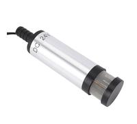 ASHATA Pompe Derv en Acier Inoxydable, Transfert Efficace D'eau et D' pour des Applications Polyvalentes, 1 unité (Écran de filtre étendu à pince 24 V, argent)