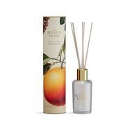 Ashleigh & Burwood Diffuseur de parfum à roseaux pour la maison | Diffuseur d'huile parfumée épices d'hiver et orange | Dure jusqu'à 3 mois | 150 ml