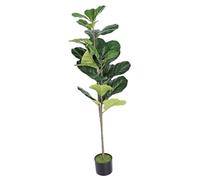 Asixxsix Figuier Lyre Artificiel, 1,20 m, Plante Artificielle réaliste, Plante d'intérieur, ficus Artificiel persistant et Durable pour Maisons, Bureaux, hôtels ou Locations.
