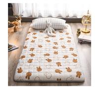 ASMJHQCLW Matelas futon Japonais en Coton et Polyester | Multicolore Plusieurs Tailles Camping Chambre Yoga : Tapis de Sol Pliable(D,90x200cm/35x79in)