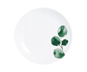 Assiette à dessert 19 cm Eucalyptus | Verre trempé résistant aux chocs, assiette à entrée et à fromage, compatible lave-vaisselle, fabriqué en France