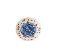 Assiette A Raper Rape Ail Plate Rapeuse Tomate Gratte Ail Céramique Assiette Ronde Manuelle En Céramique à Motif De Fruits Pour Légumes Cuisine Epluchage