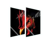 ASSIETTE DE PROTECTION EN VERRE POUR CUISINE 2x35x52 COQ