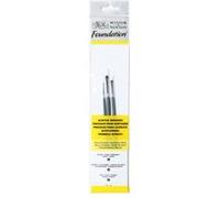Assortiment 3 Pinceaux Manche Court Rond N°2/ Plat N°2 /Usé Bombé N°4 - Winsor Et Newton