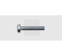 Assortiment de vis filetées SWG 4009146053174 100 pc(s) M6 12 mm tête bombée cruciforme acier N/A