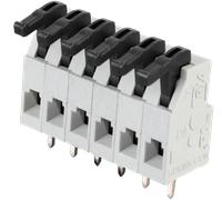 AST 025-06 - Borne à ressort à 6 broches, espacement 5 mm