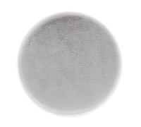Astra Tapis en Fausse Fourrure Moelleux de Haute qualité - Tapis Salon - Tapis à Poils Hauts Agneau Peau de Mouton Accessoire - Peau Déco Argent Rond Ø 35 cm