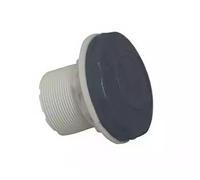 ASTRAL Prise Balai Grise Anthracite pour Piscine béton