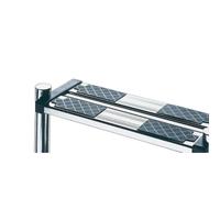 ASTRALPOOL Marchepied de sécurité double